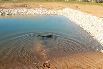 Tails & Trails Off-Leash Dog Park photo 1